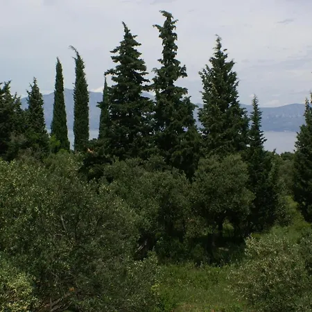 With Parking Space Duba Peljeska, Peljesac - 4534 * Duba Peljeska