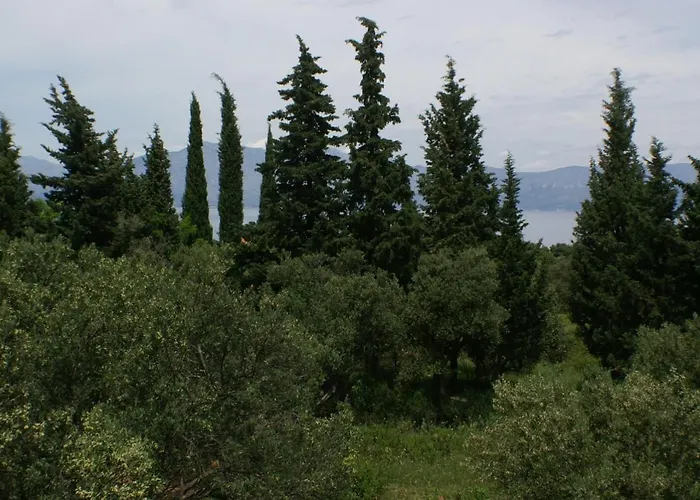 With Parking Space Duba Peljeska, Peljesac - 4534 * Duba Peljeska